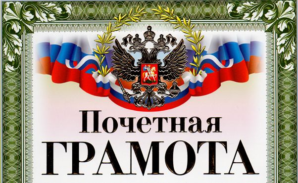 Все о замене транспортных карт